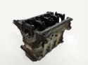 BLOK Z19DT 55182303 1.9 CDTI SX4 VECTRA C 159 ZAFIRA 9-3 147 ASTRA H CROMA