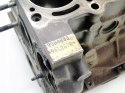 BLOK SILNIKA 1.2 8V GRANDE PUNTO EVO PANDA 500 KA YPSILON 199A4000 55221621