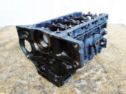 BLOK SILNIKA 55567859 A16XER 1.6 ASTRA H J INSIGNIA A ZAFIRA B MOKKA